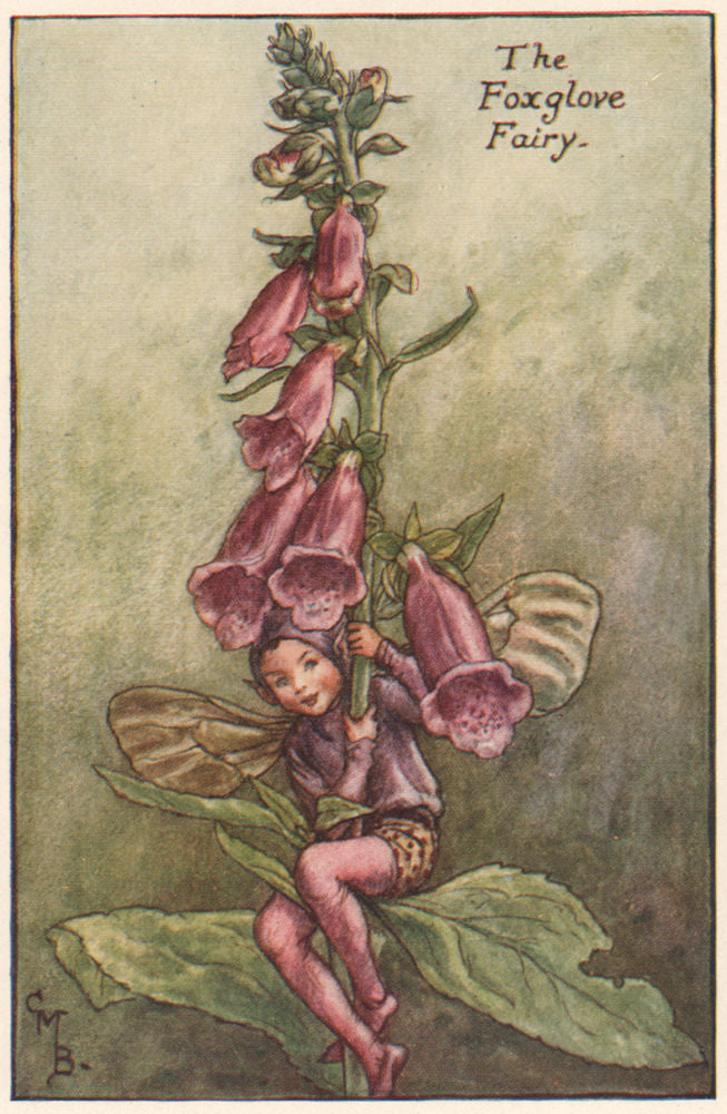 Foxglove Fairy by Cicely Mary Barker. Summer Flower Fairies c1935 old print